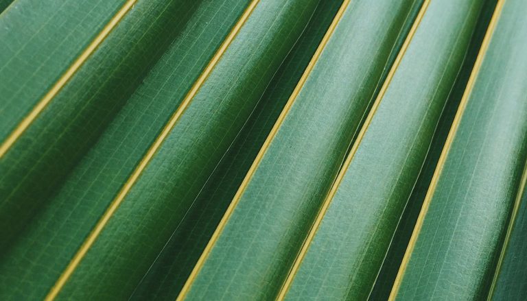 Mini Boucle Bag Sed Corper Lorem