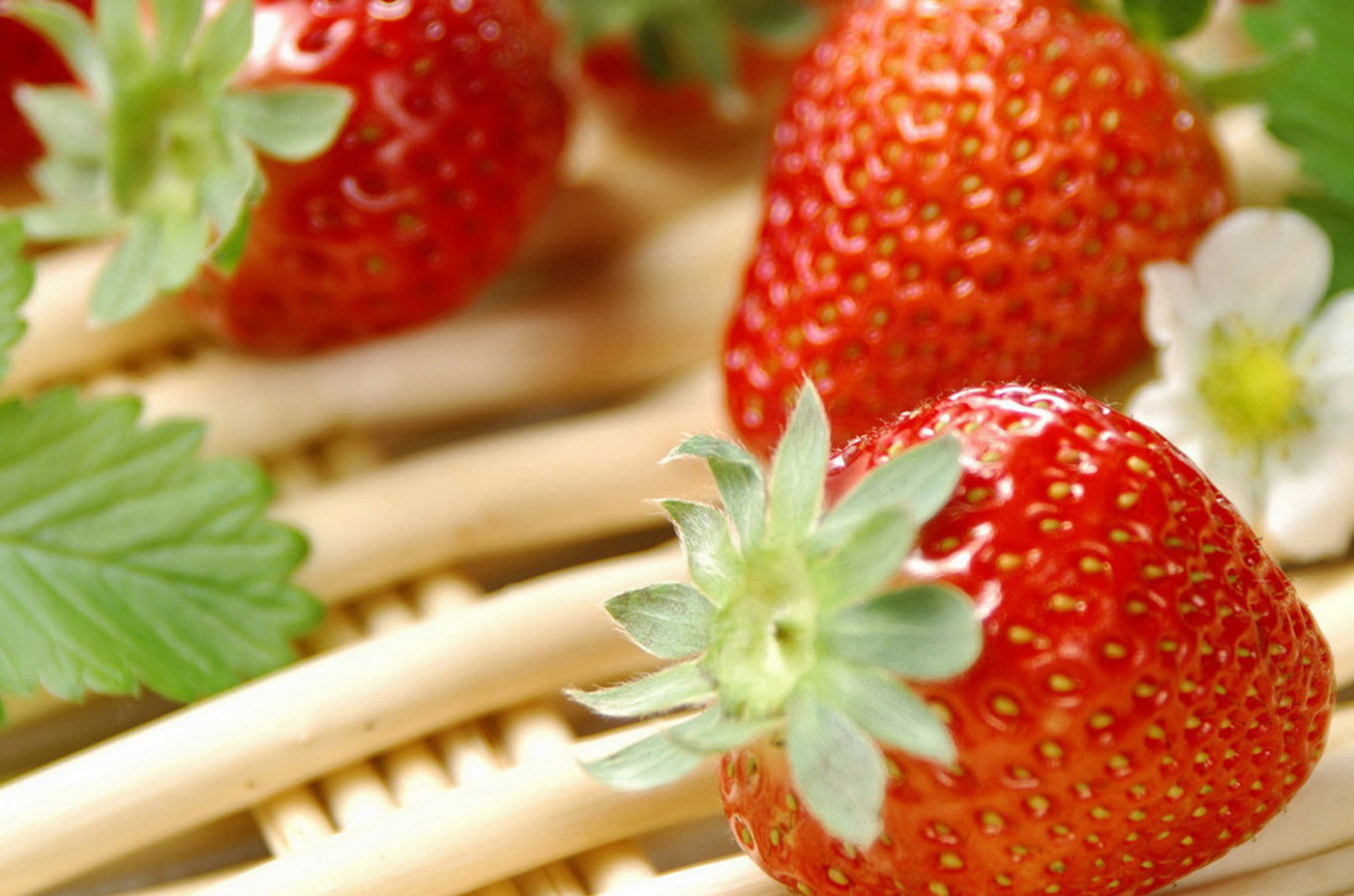 Recipes Using Seasonal Fresh Vegetables