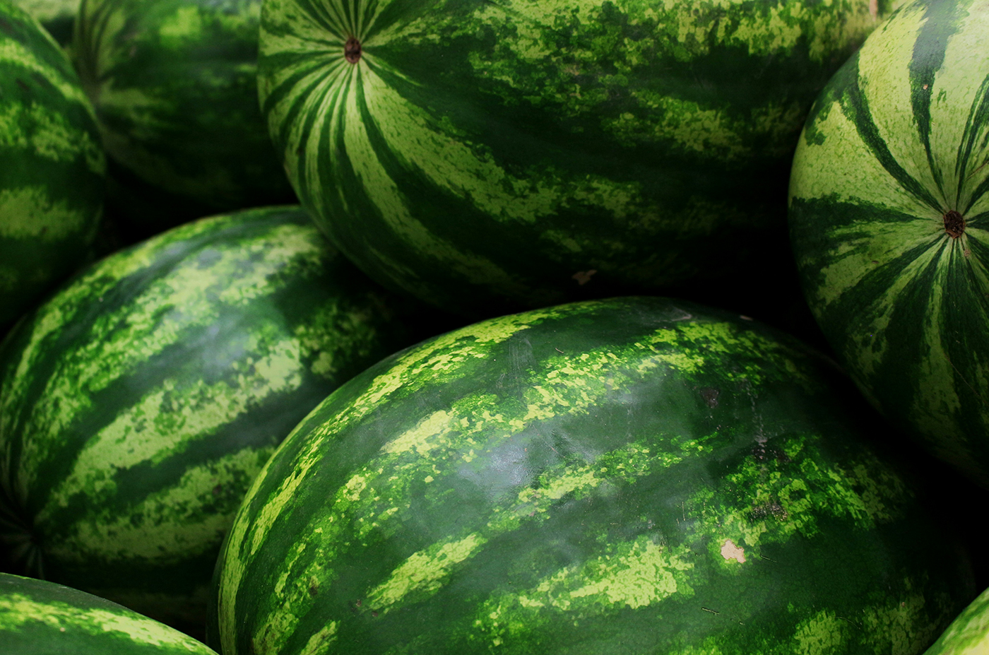 Juicy Fruits That Enhance Daily Nutrition