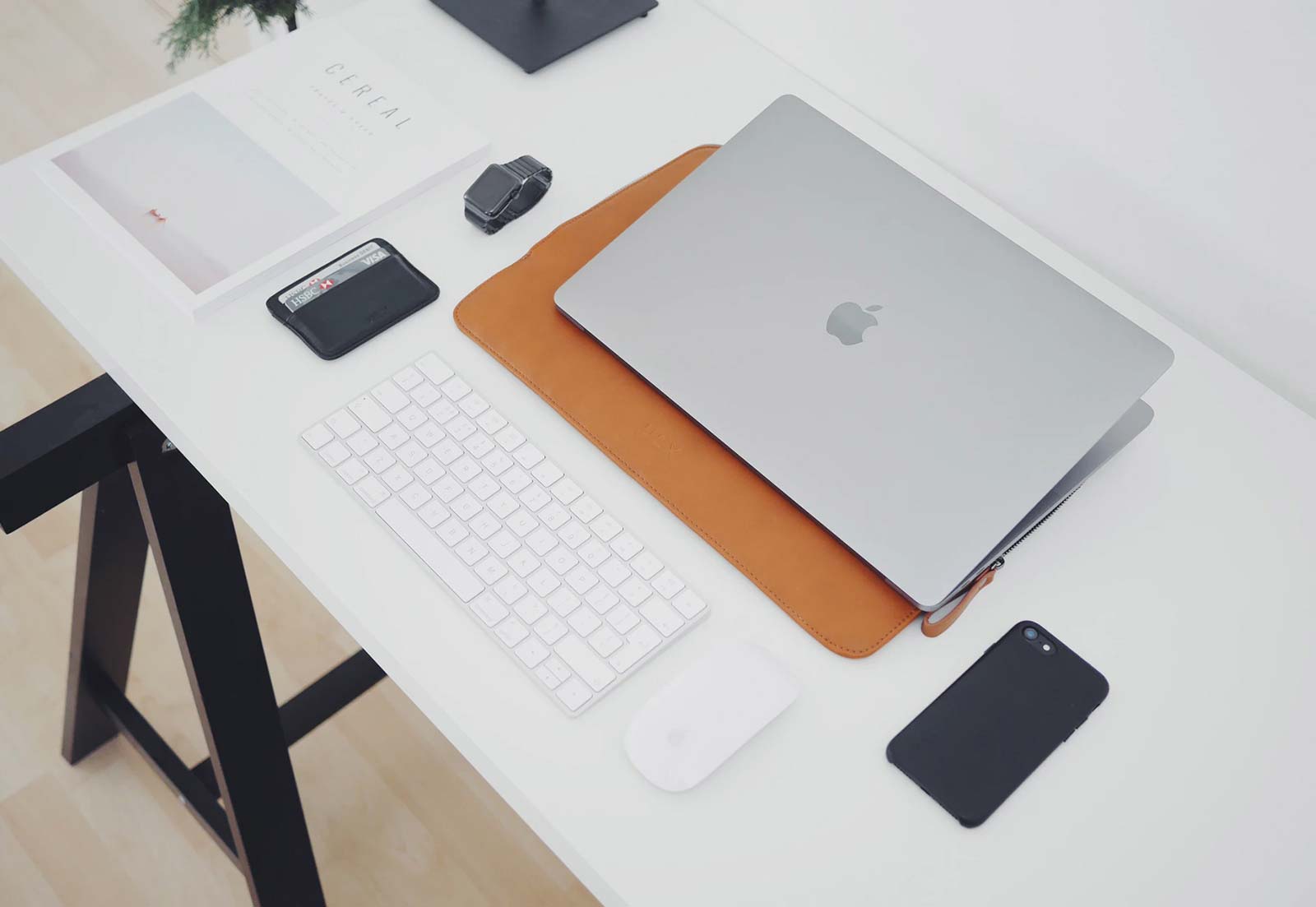 This information most often includes causes, symptoms, diagnosis