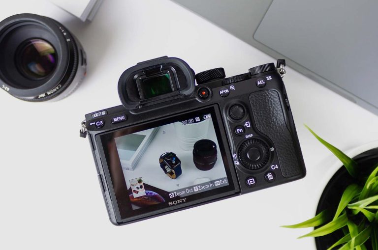 Market Vegetables for Everyday Cooking