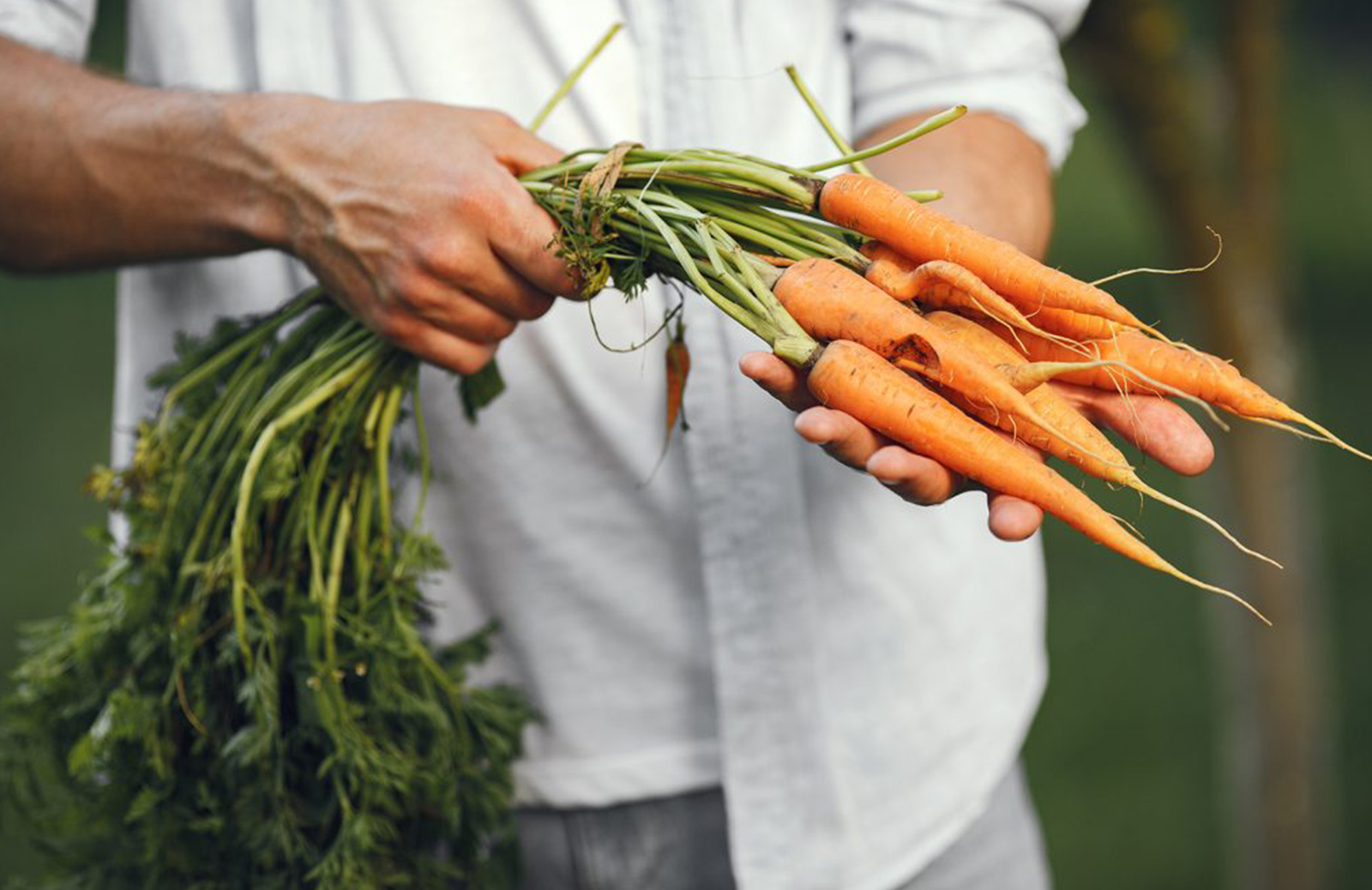 Morbi condimentum molestie Nam enim odio sodales Morbi condimentum molestie Nam enim odio sodales