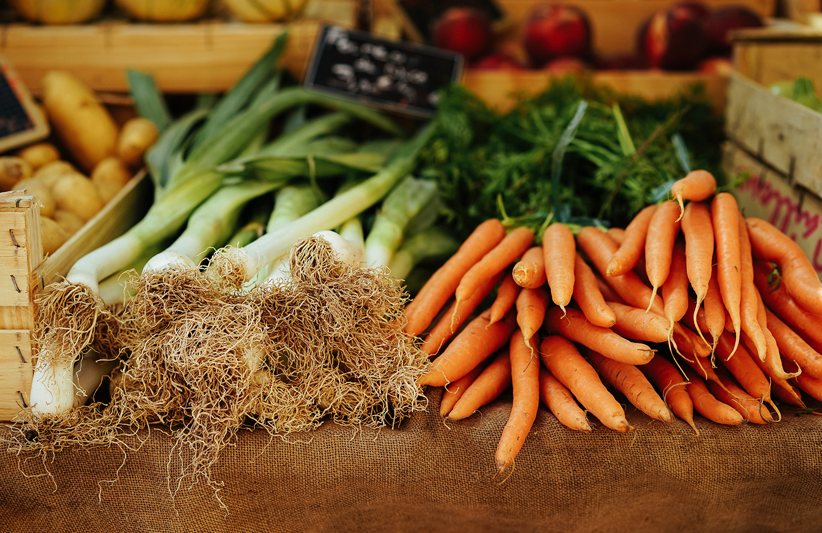 Ipsum cursus vestibulum innovation at interdum Vivamus Ipsum cursus vestibulum innovation at interdum Vivamus