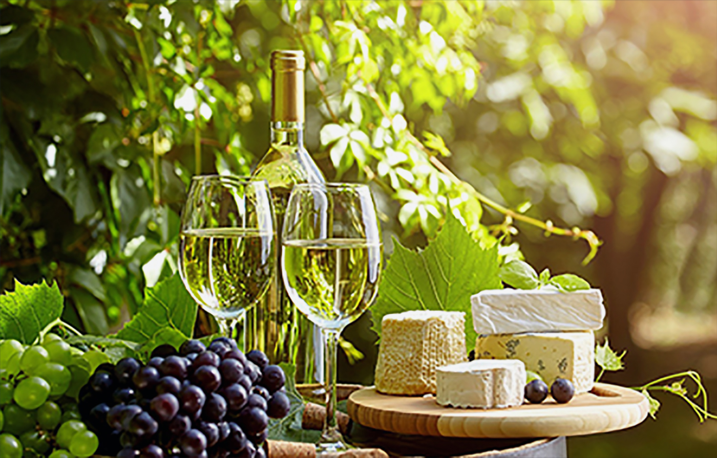 Turpis at eleifend ps mi elit Aenean porta ac sed faucibus Aenean