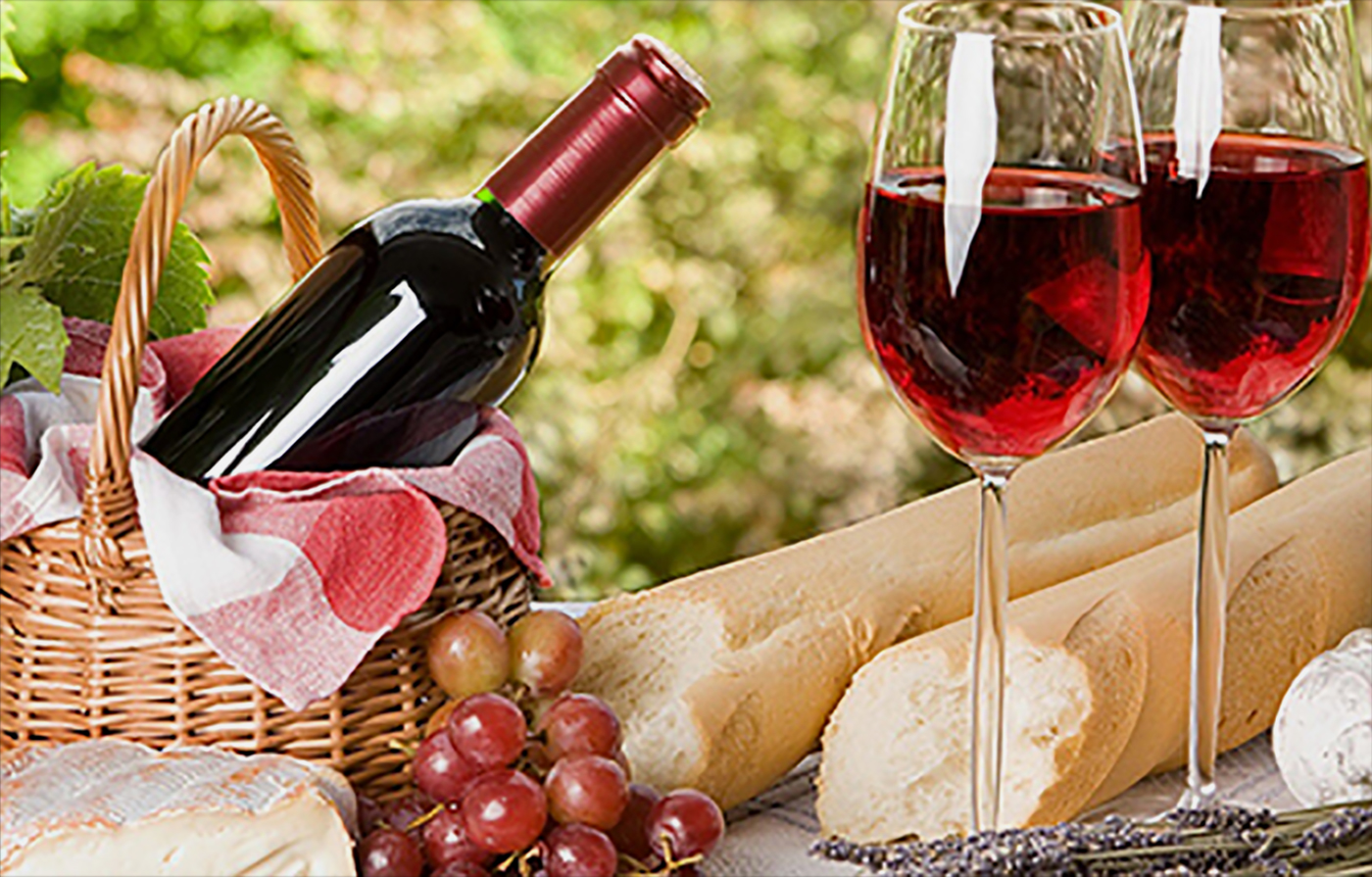 Ipsum cursus vestibulum at interdum Vivamus cursus Vivamus