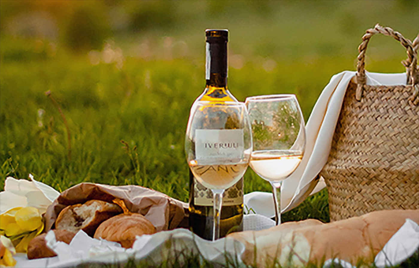 Urna pretium elit mauris cursus Curabitur at elit Vestibulum cursus