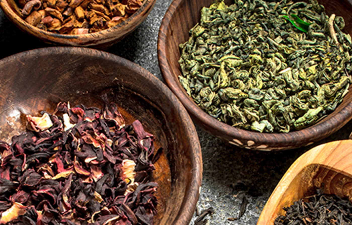 US Barista Champion Morgan Eckroth: The Sprudge Interview US Barista Champion Morgan Eckroth: The Sprudge Interview