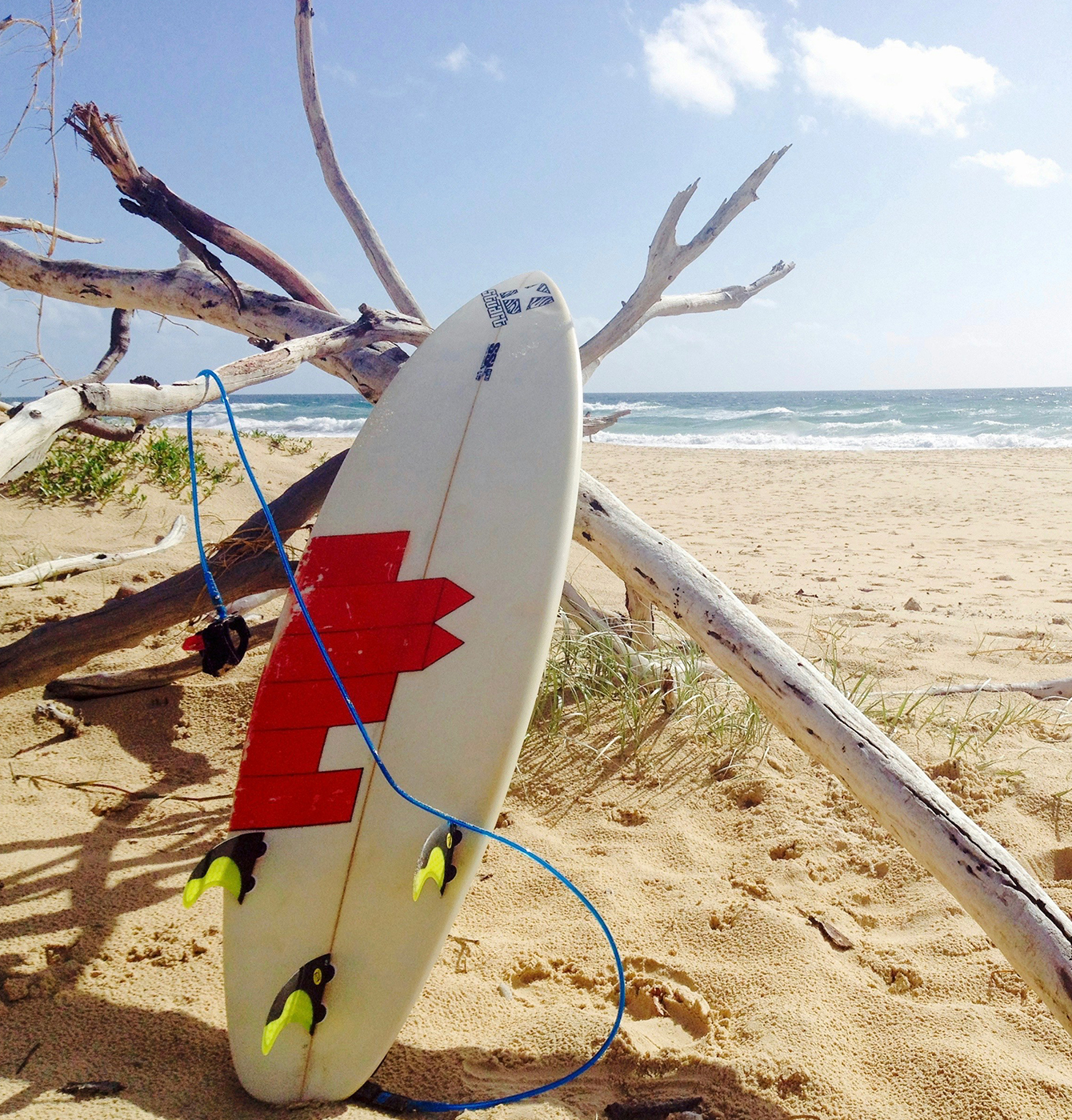 What Does the Future of Swimming Look Like? What Does the Future of Swimming Look Like?