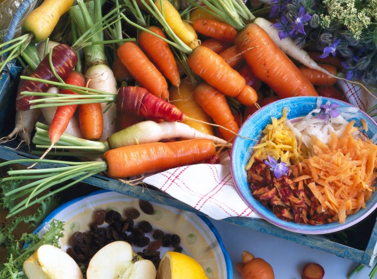 Morbi condimentum molestie nam enim odio sodales