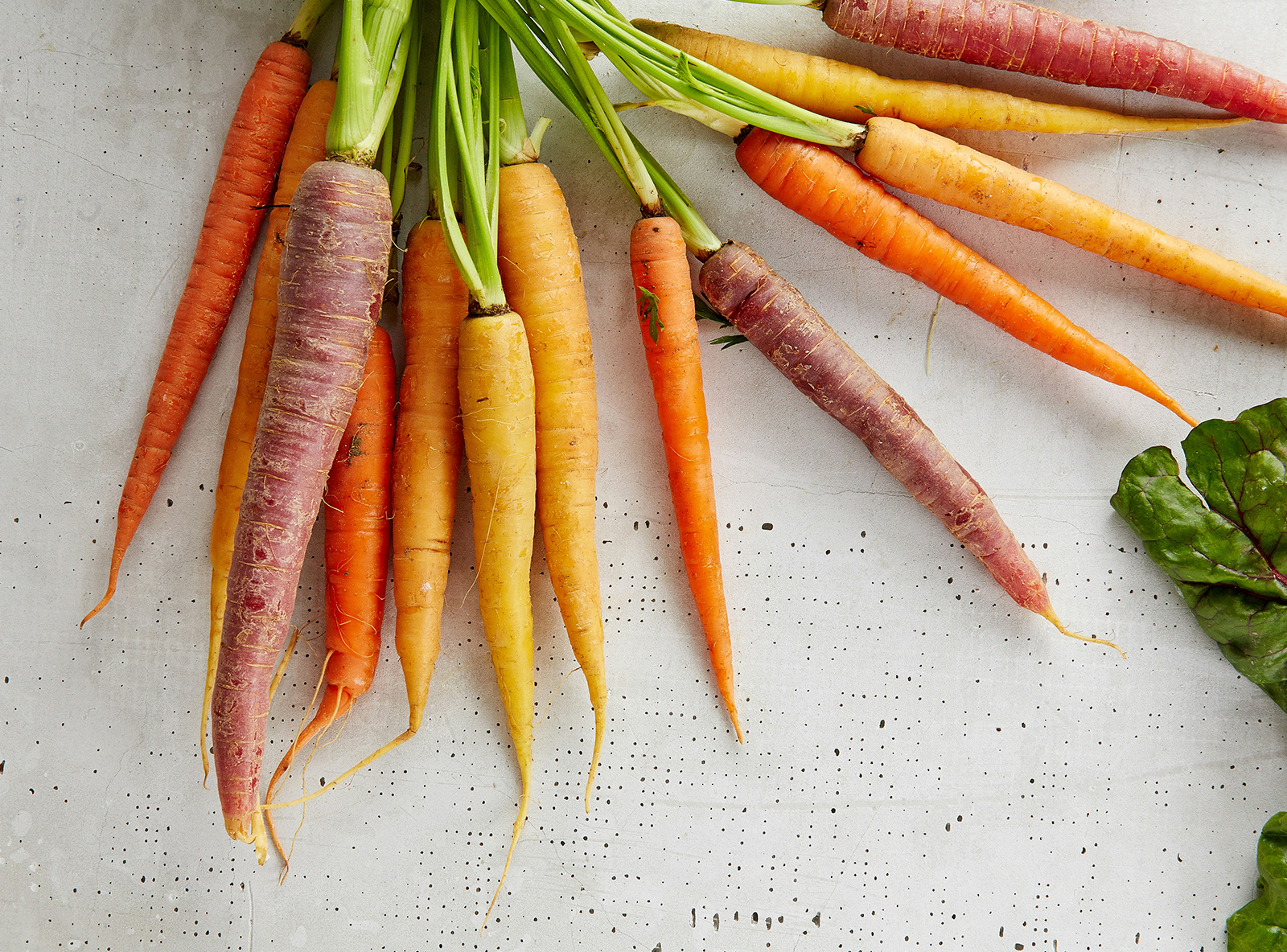 Nullam ullamcorper nisl quis ornare molestie saepe