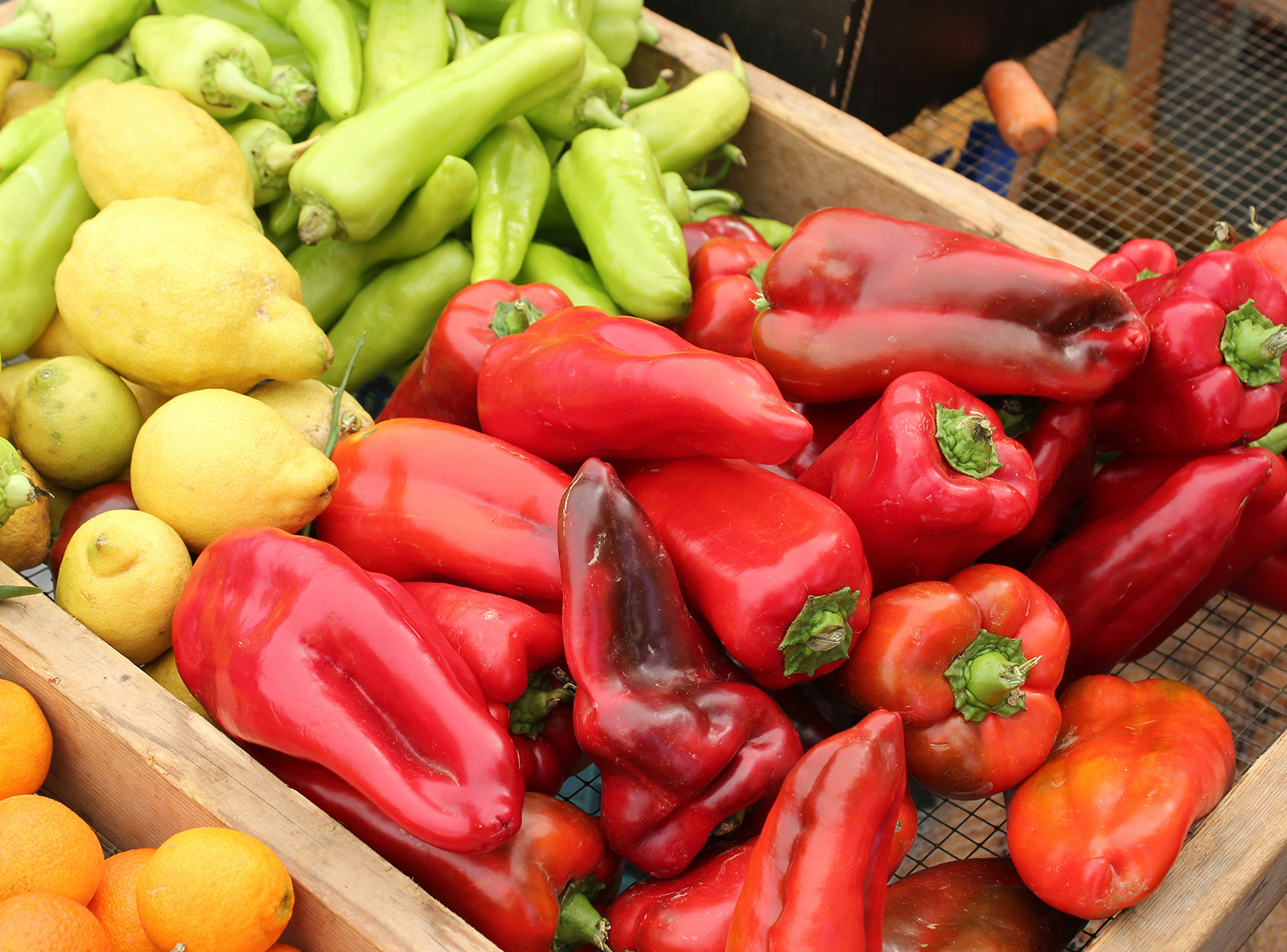 Vegetables are a good source of energy and nourish