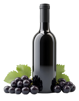 Shiraz