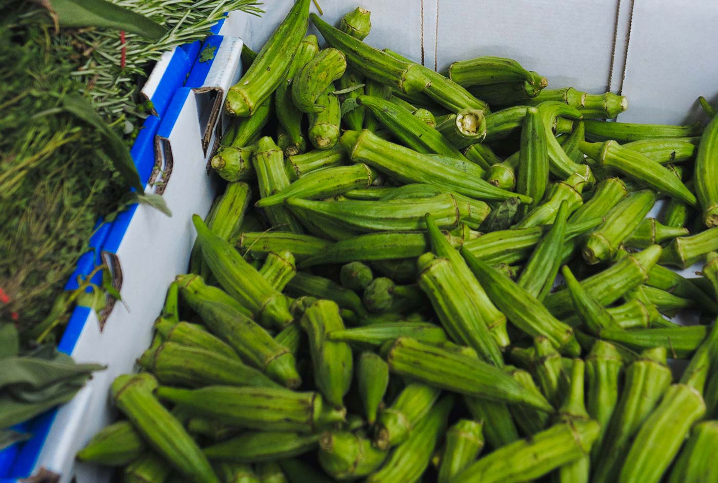 Premium fresh fruit and veg delivered with care to your doorstep