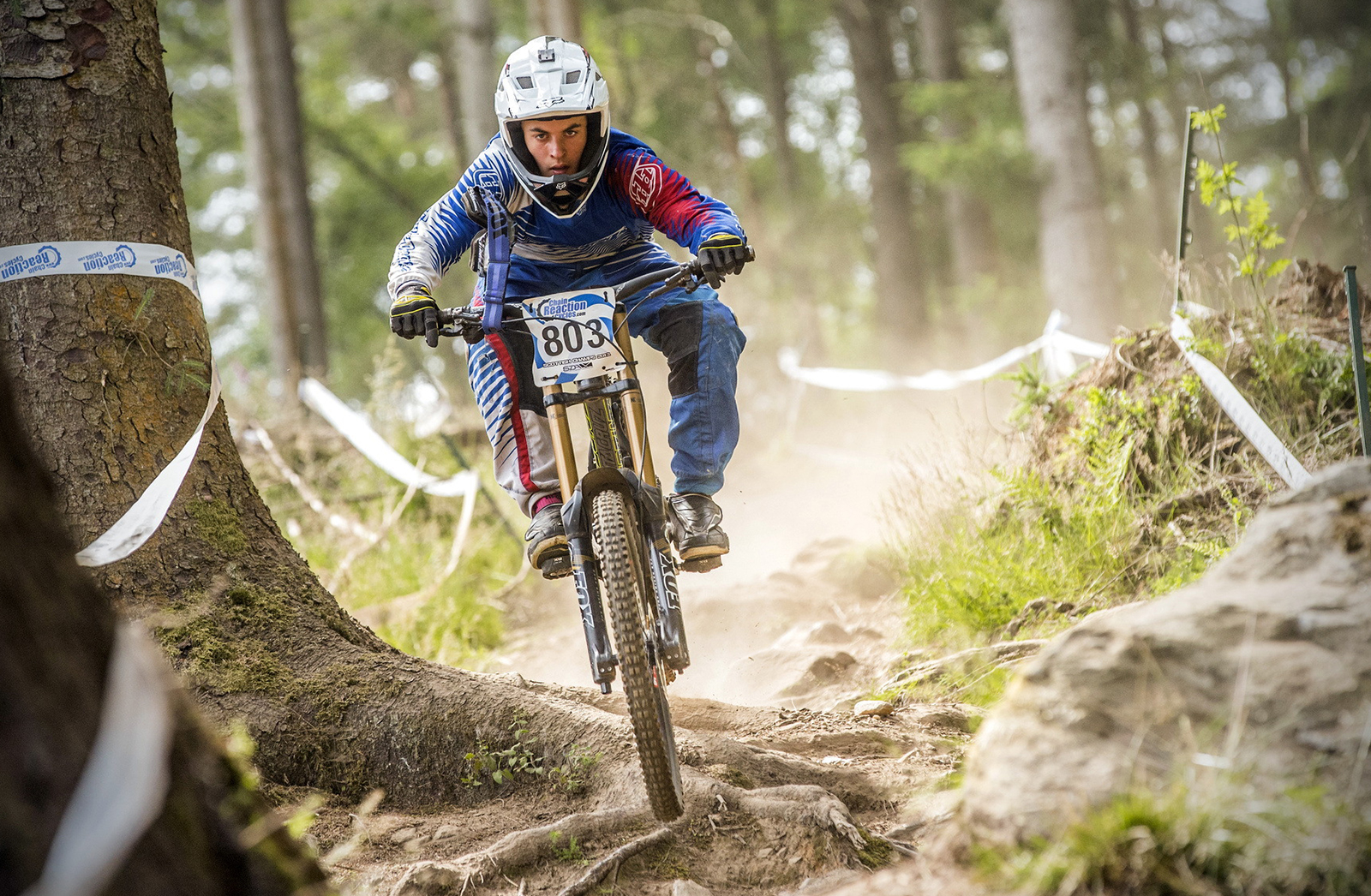 Ultimate Guide to Sports Assets and Products Driving Performance Growth for Athletes