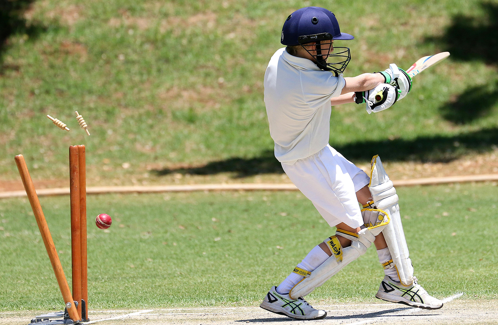 Sports Assets Products Insights for Smarter Investment Performance Marketing and Growth