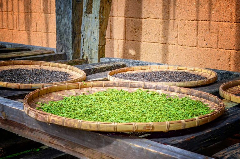 Organic green powder offers fresh plant-based wellness every day