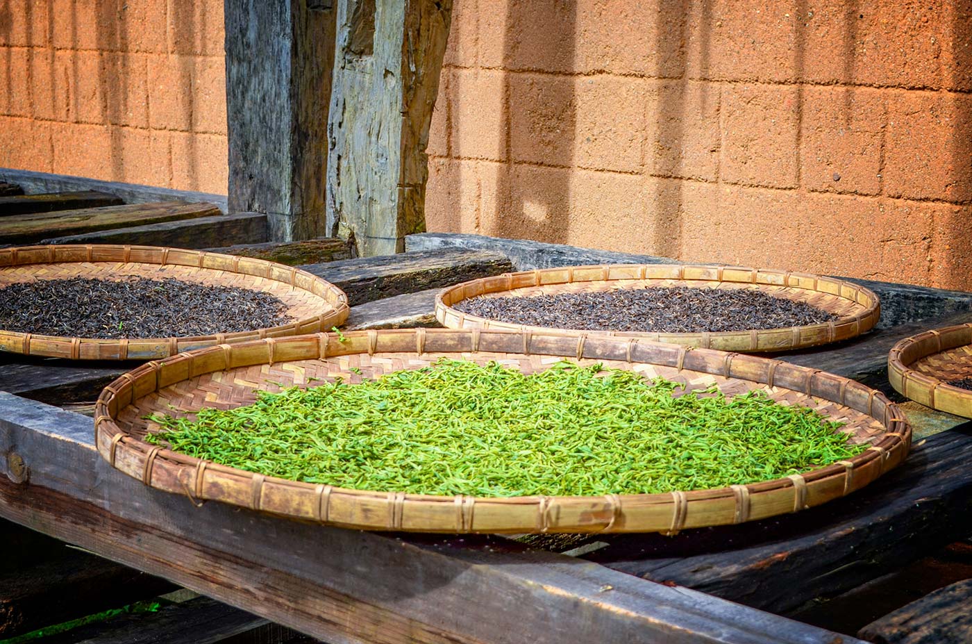 Organic green powder offers fresh plant-based wellness every day