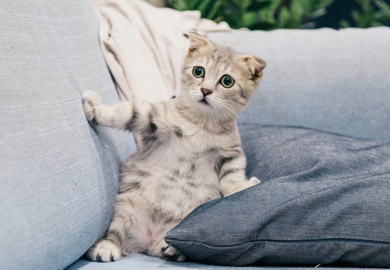 Best Tracker And Smart-Watch