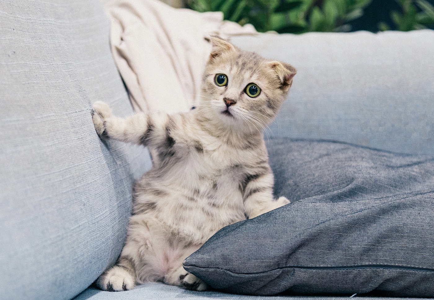 Best Tracker And Smart-Watch