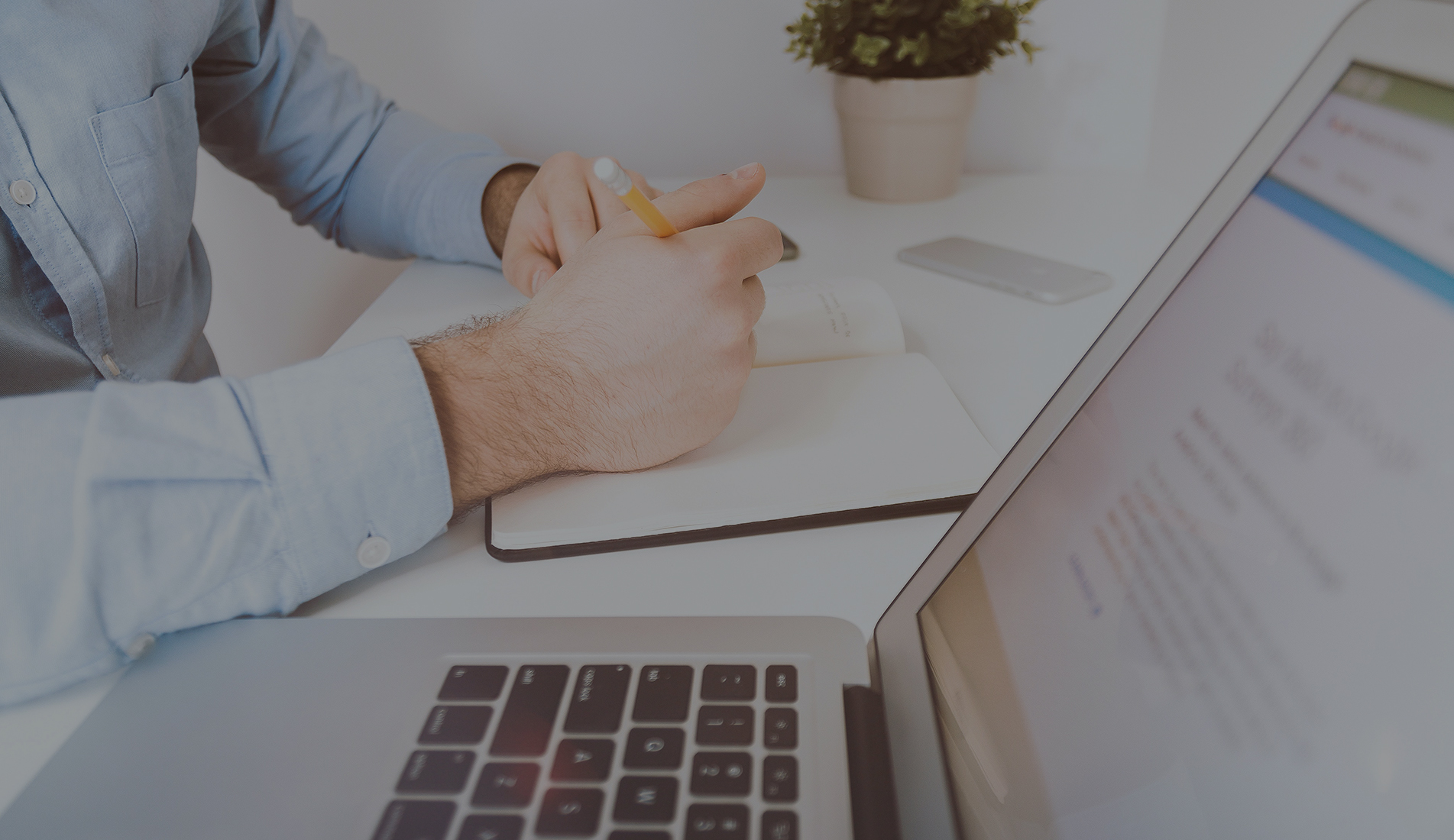 Silver Crysta Build web design developer