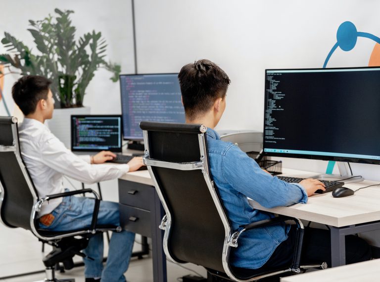 Green Homes Software developer working