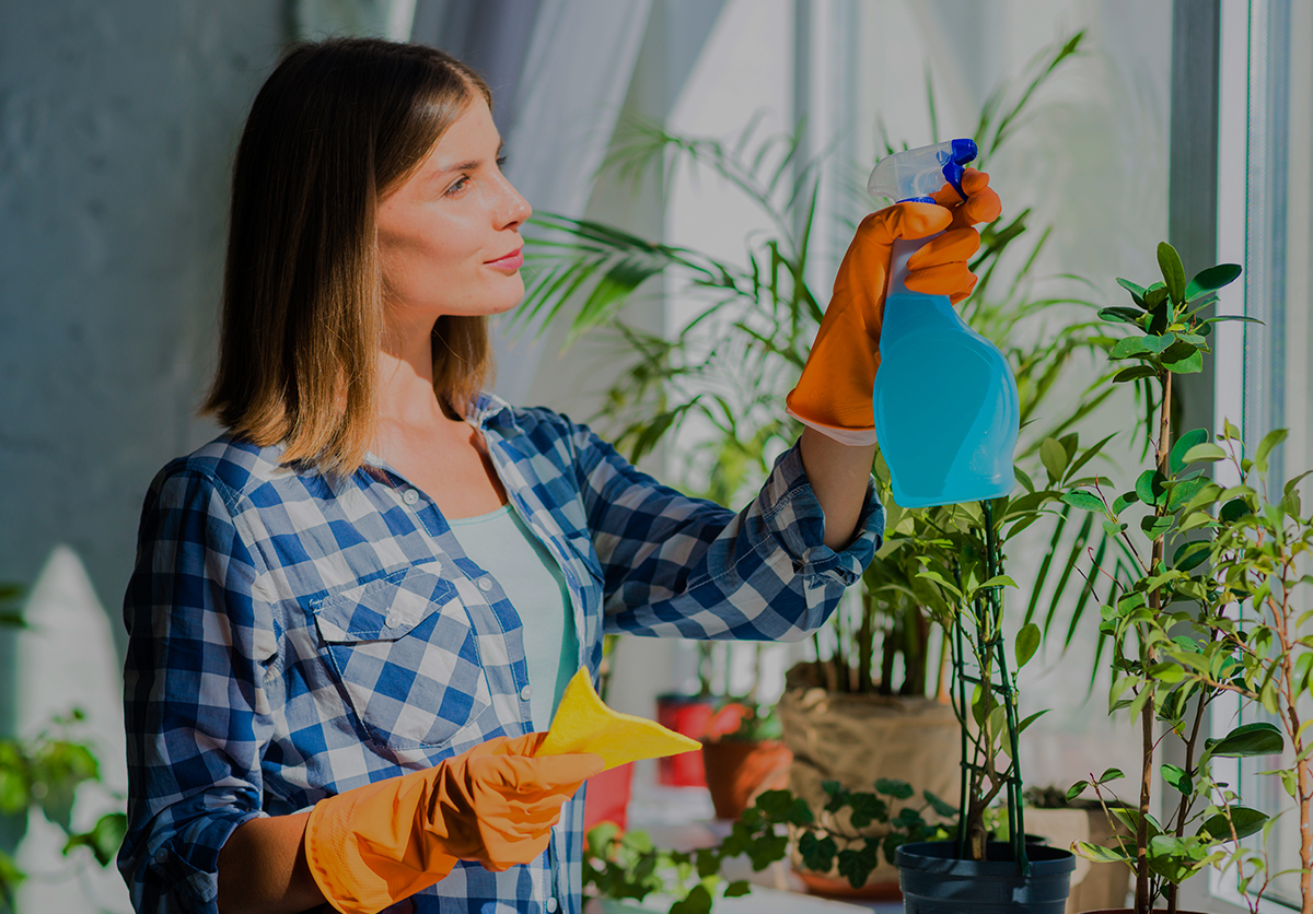 Standard the Chunk of Ipsum Standard the Chunk of Ipsum