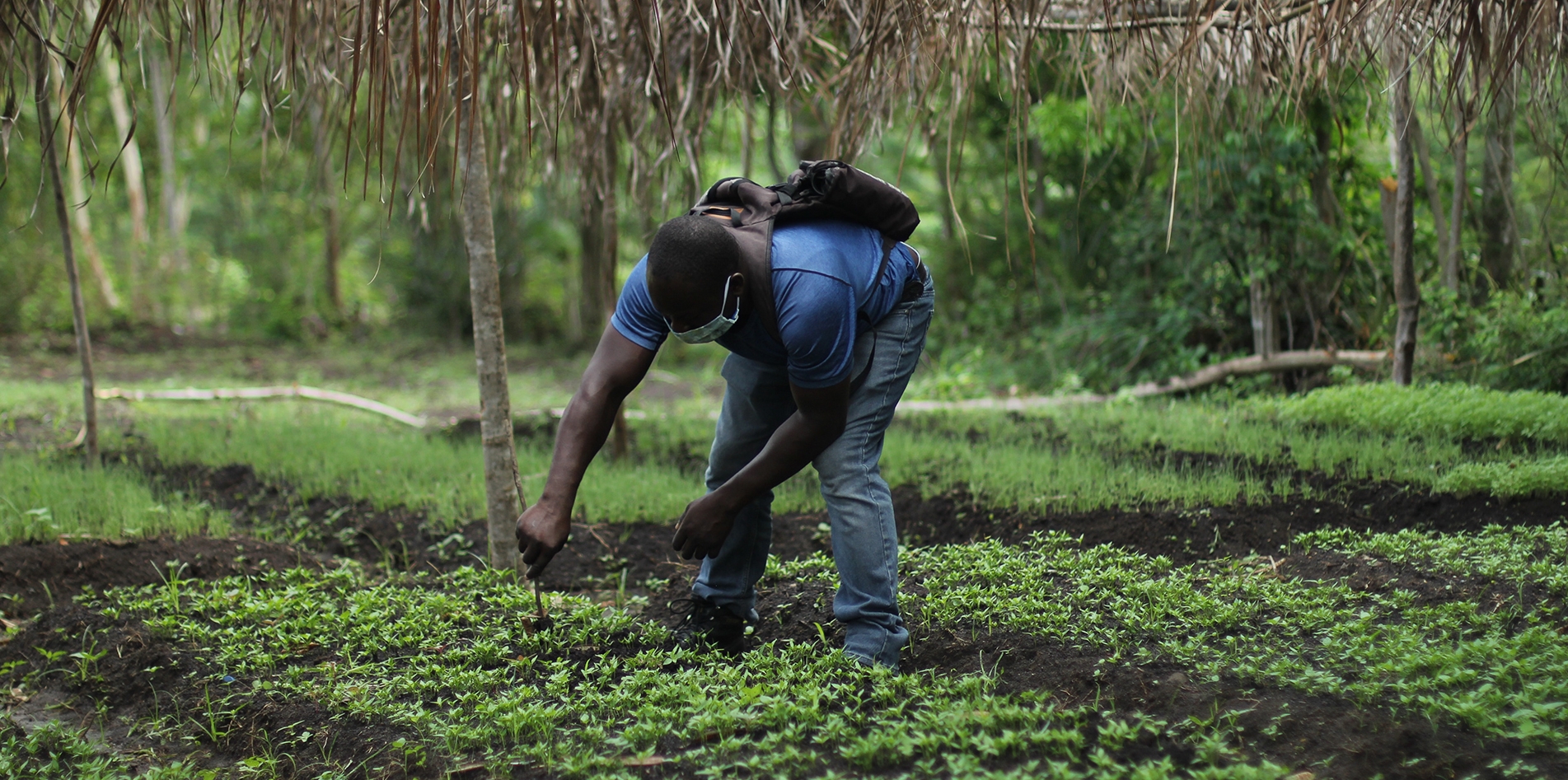 Benefits Of Organic Food Benefits Of Organic Food