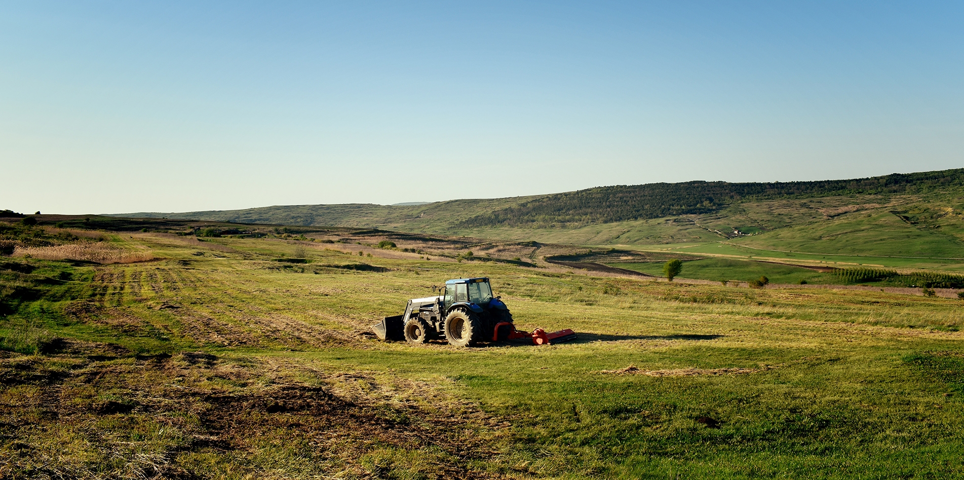 Buy Only Organic Products Buy Only Organic Products