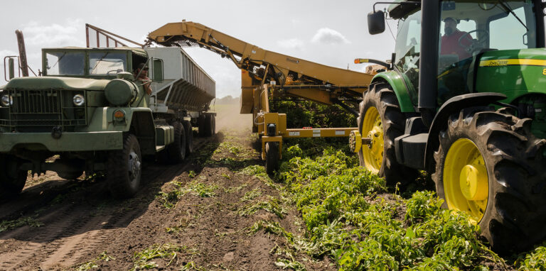 Healthiest Vegetables on Earth