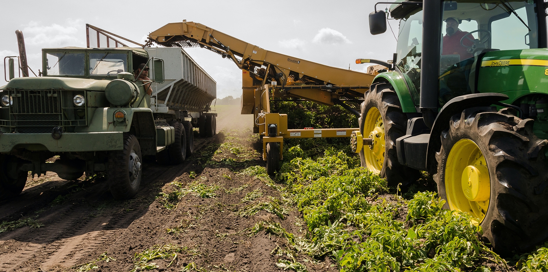 Healthiest Vegetables on Earth Healthiest Vegetables on Earth