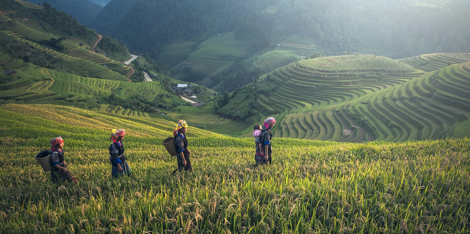 From our kitchen garden From our kitchen garden
