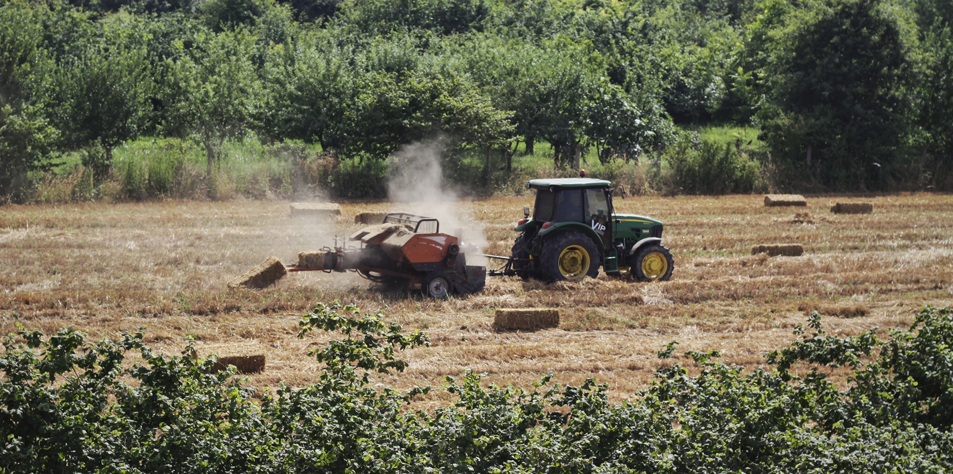 Preparing the soil as Required Preparing the soil as Required
