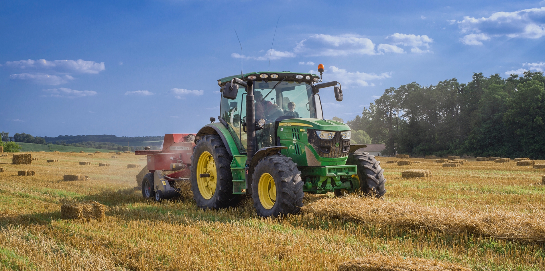 Luscious organic produce Luscious organic produce