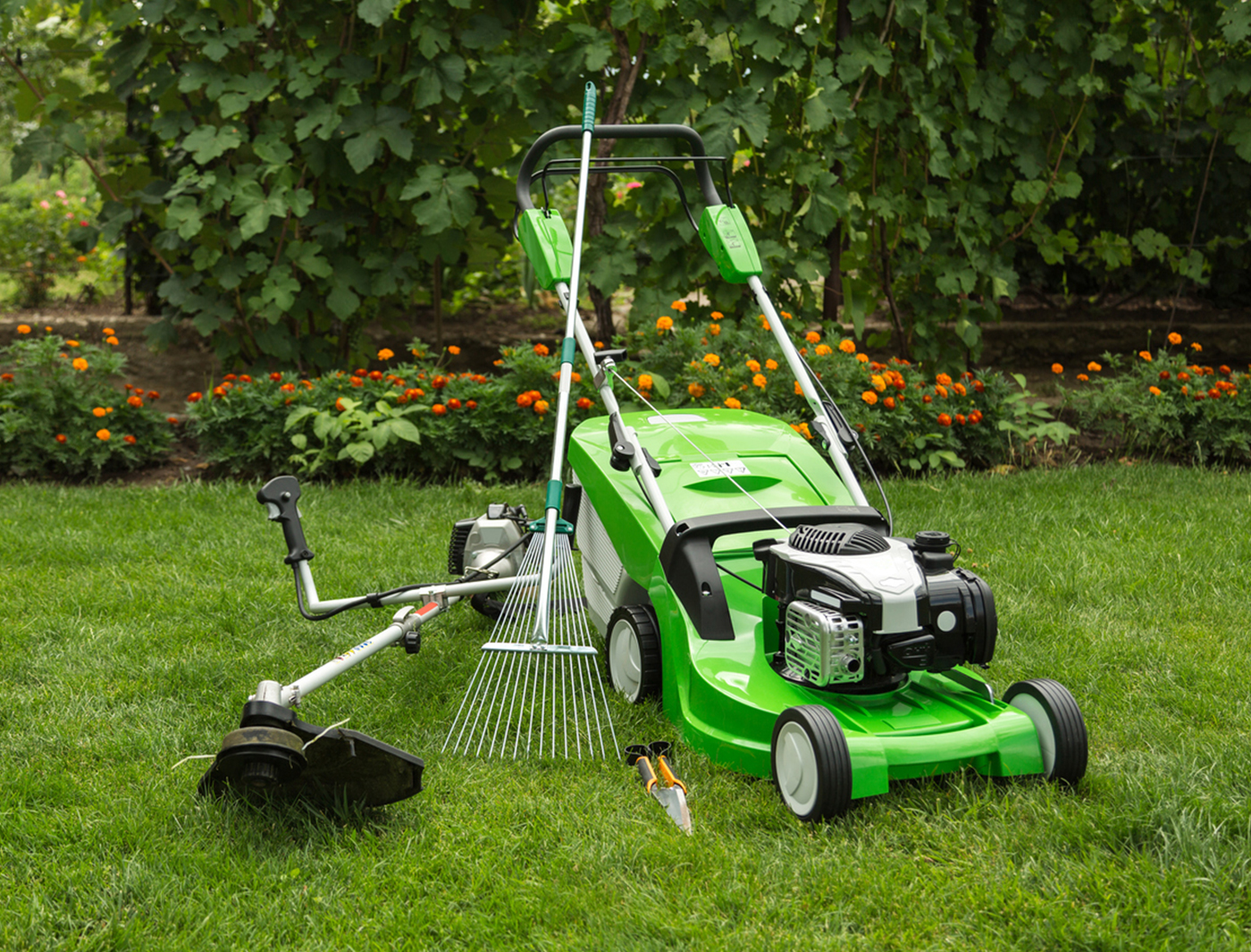 Surprising Benefits of Growing Medicinal Plants Surprising Benefits of Growing Medicinal Plants