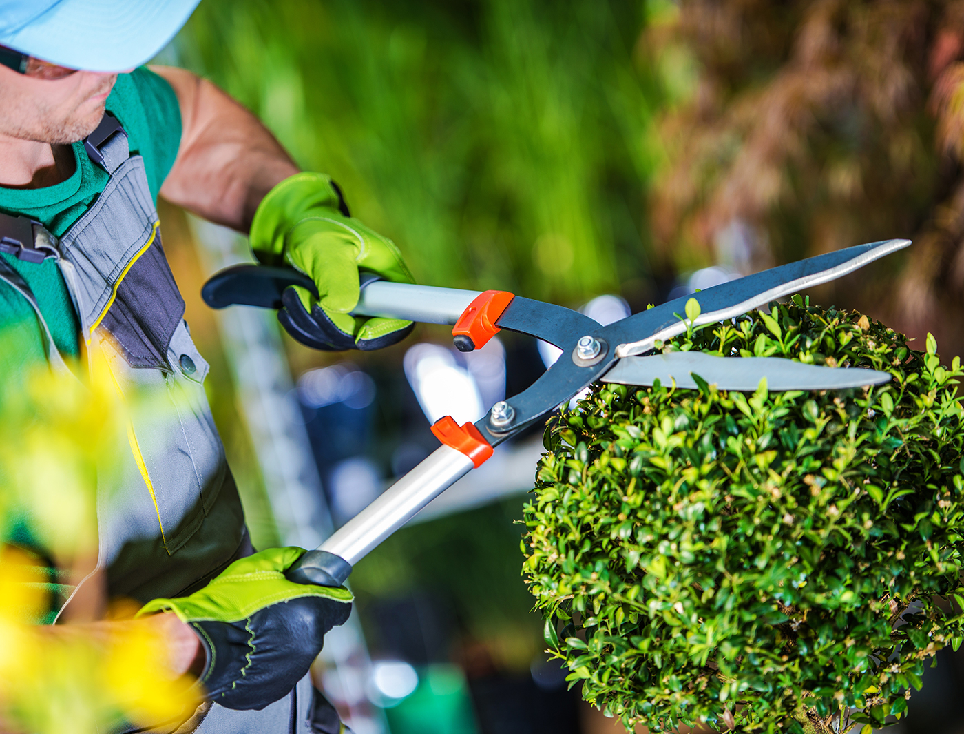 Can anyone with a busy schedule safely tend to plant life? Can anyone with a busy schedule safely tend to plant life?