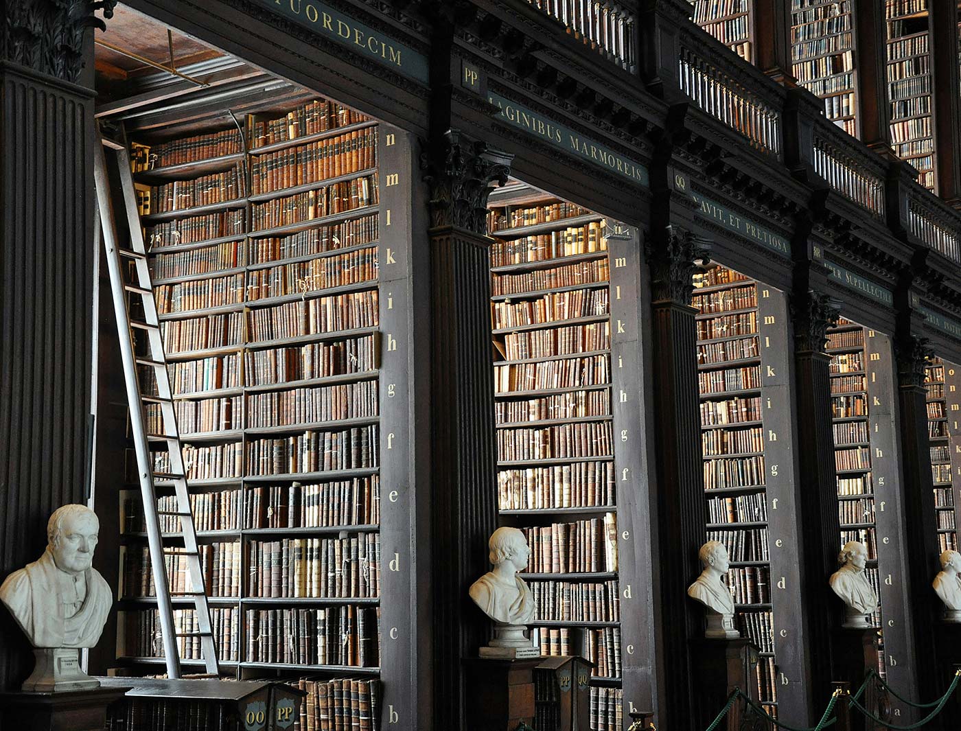 Understanding your rights in a personal injury case