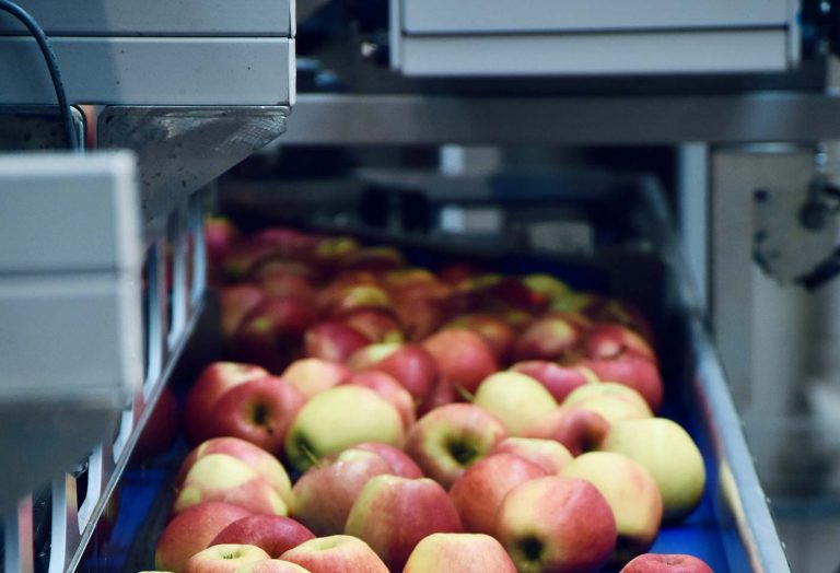 The role of transport in driving global economic development